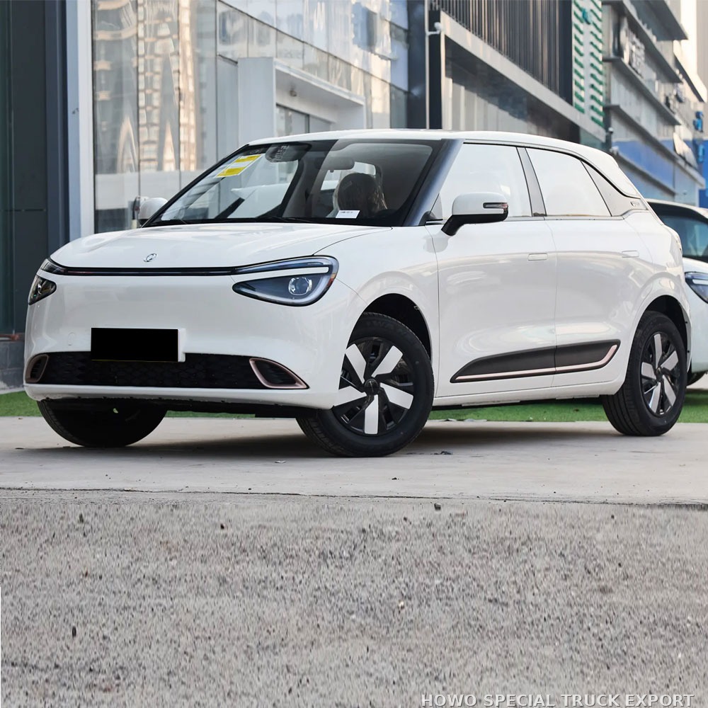 Dongfeng Nami 01 électrique 330 km DONGFENG NAMI 01 ELECTRIC CAR 330KM — photo 2 sur 6