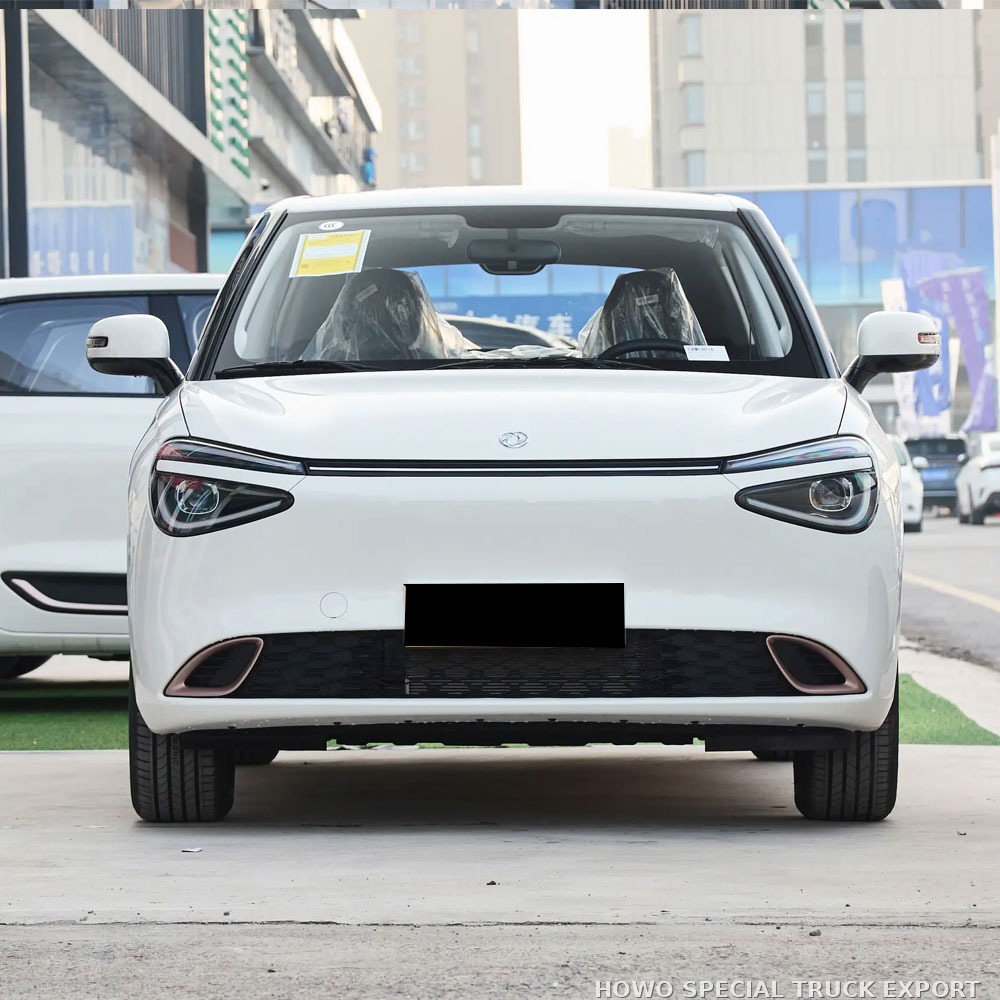 Dongfeng Nami 01 électrique 330 km DONGFENG NAMI 01 ELECTRIC CAR 330KM — photo 3 sur 6