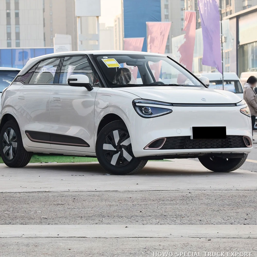 Dongfeng Nami 01 électrique 330 km DONGFENG NAMI 01 ELECTRIC CAR 330KM — photo 4 sur 6