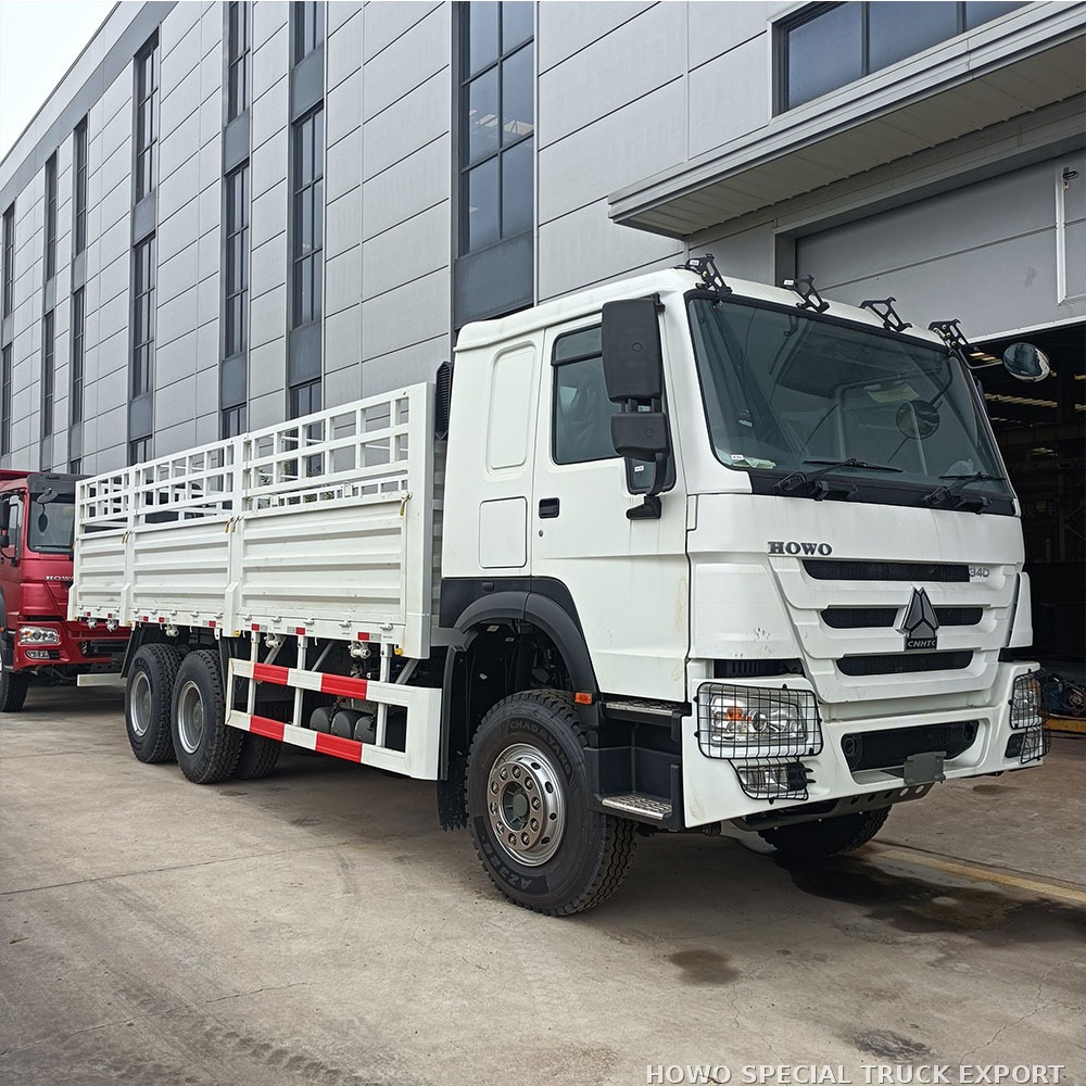 Camion plateau HOWO 6x4 20 tonnes HOWO 6X4 CARGO TRUCK 20TON — photo 4 sur 6