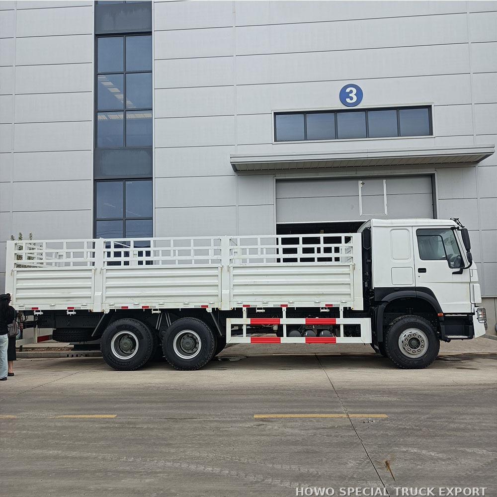 Camion plateau HOWO 6x4 20 tonnes HOWO 6X4 CARGO TRUCK 20TON — photo 5 sur 6